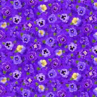 ttPANSY-CD4873 VIOLET